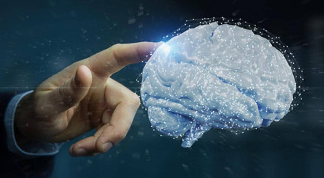 Diez descubrimientos asombrosos sobre el cerebro en 2020
