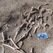 Vikingos masacrados del siglo X encontrados en una fosa común en el St John's College de Oxford