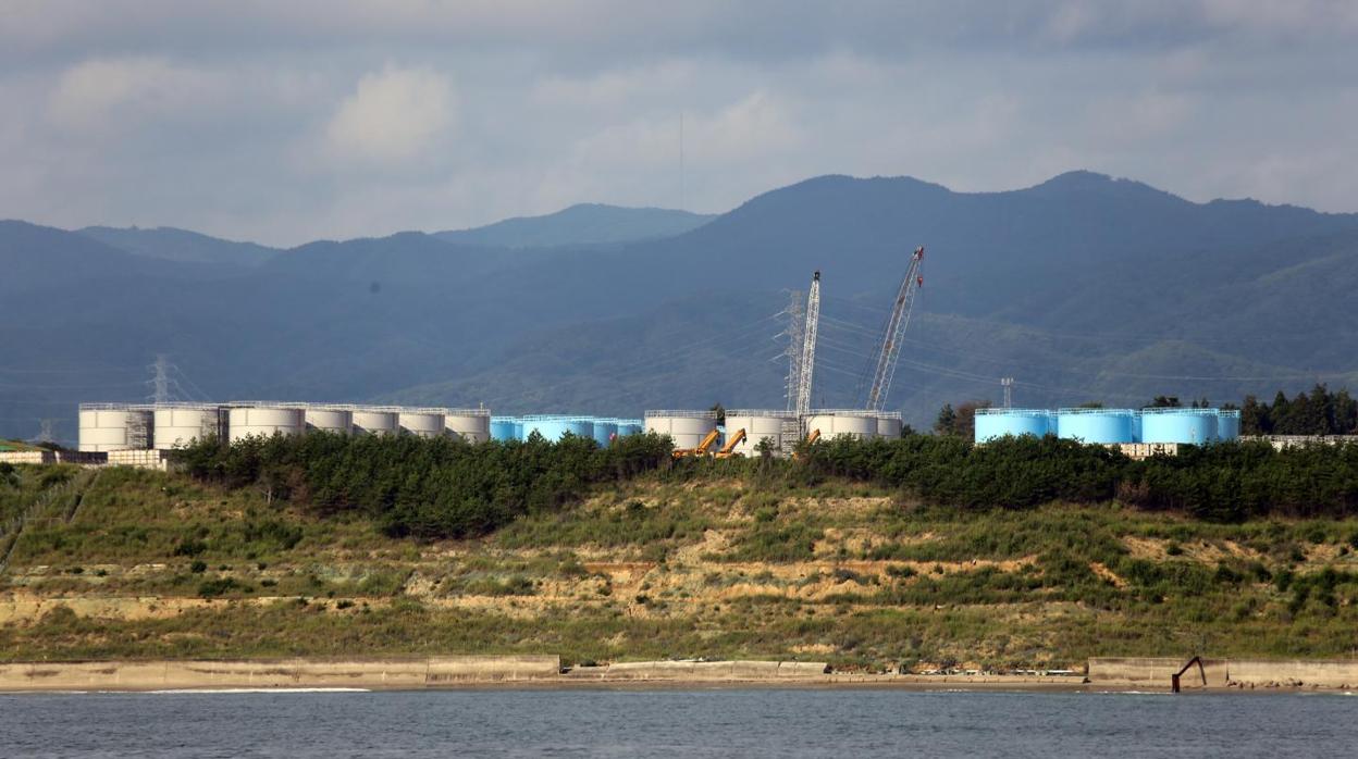 Los tanques de la central de Fukushima contienen una mezcla de isótopos radiactivos que se descomponen a diferentes velocidades y que presentan distintas afinidades por los sedimentos del fondo marino y los organismos marinos