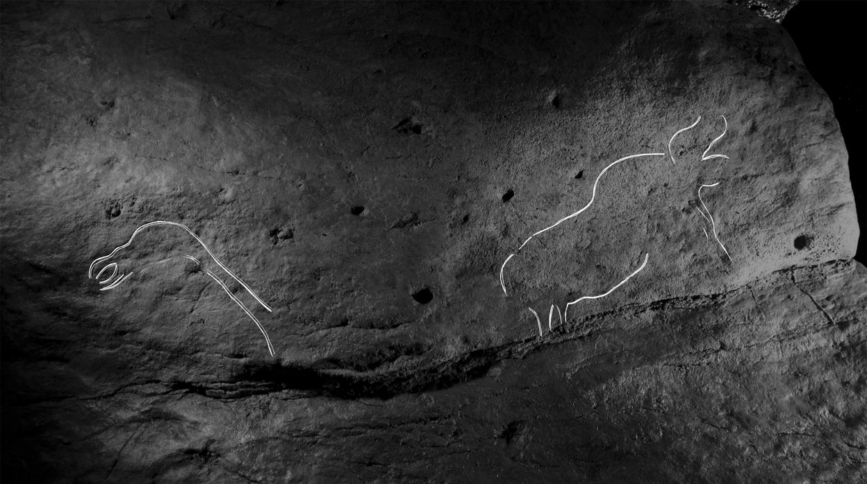 Fotografía y calco de una cabeza de pájaro y un bisonte de Aitzbitarte