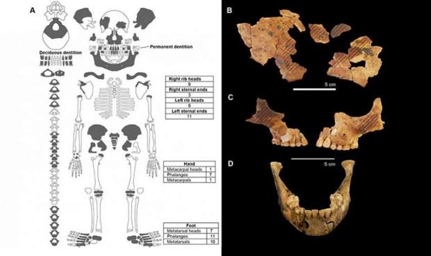 Descubren un misterioso entierro infantil de hace 8.000 años