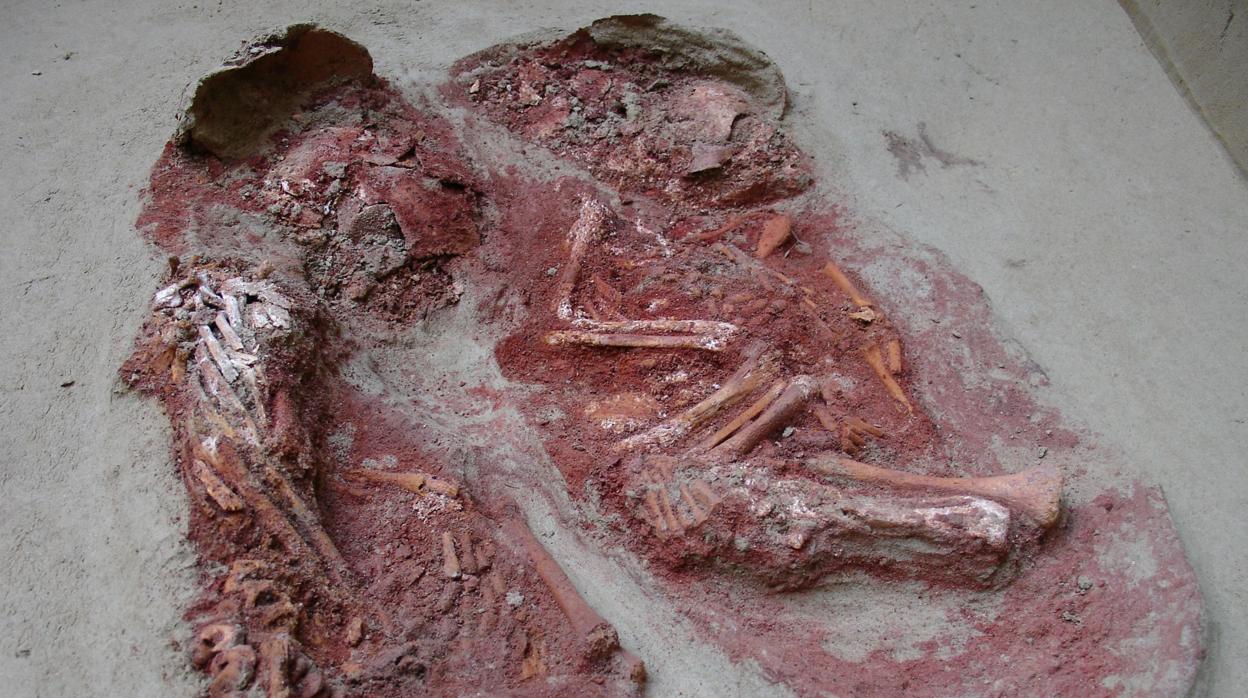 Los gemelos, enterrados en el yacimiento de Wachtberg-Krems