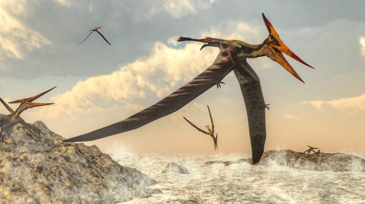 Un Pteranodon de alto vuelo, un género de pterosaurio que incluía algunos de los reptiles voladores más grandes conocidos