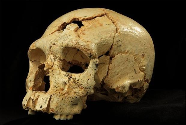 ¿Hibernaban en invierno los humanos de Atapuerca?