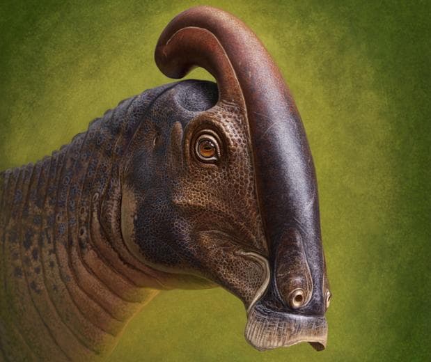 El dinosaurio con un «trombón» en la cabeza