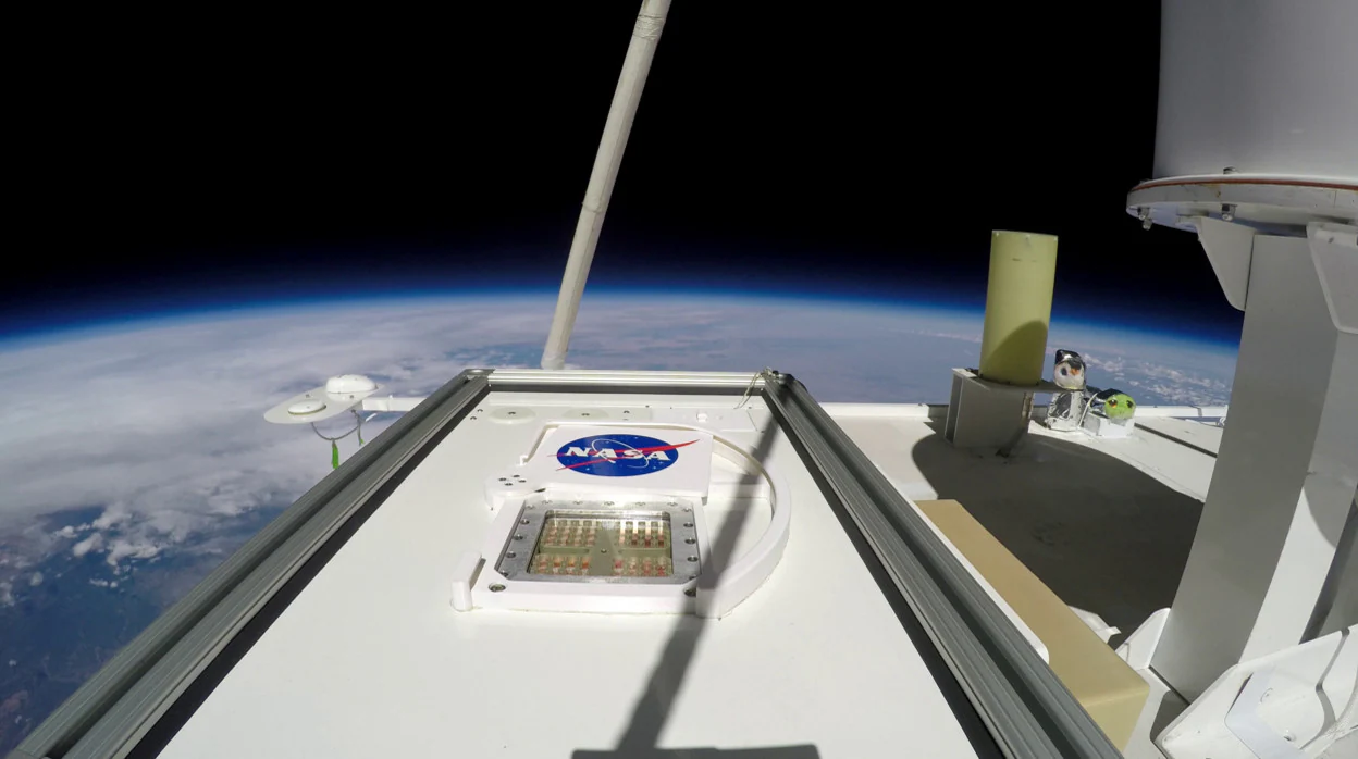 El experimento MARSBOx, en la estratosfera terrestre, con su obturador abierto para exponer las muestras a la radiación ultravioleta