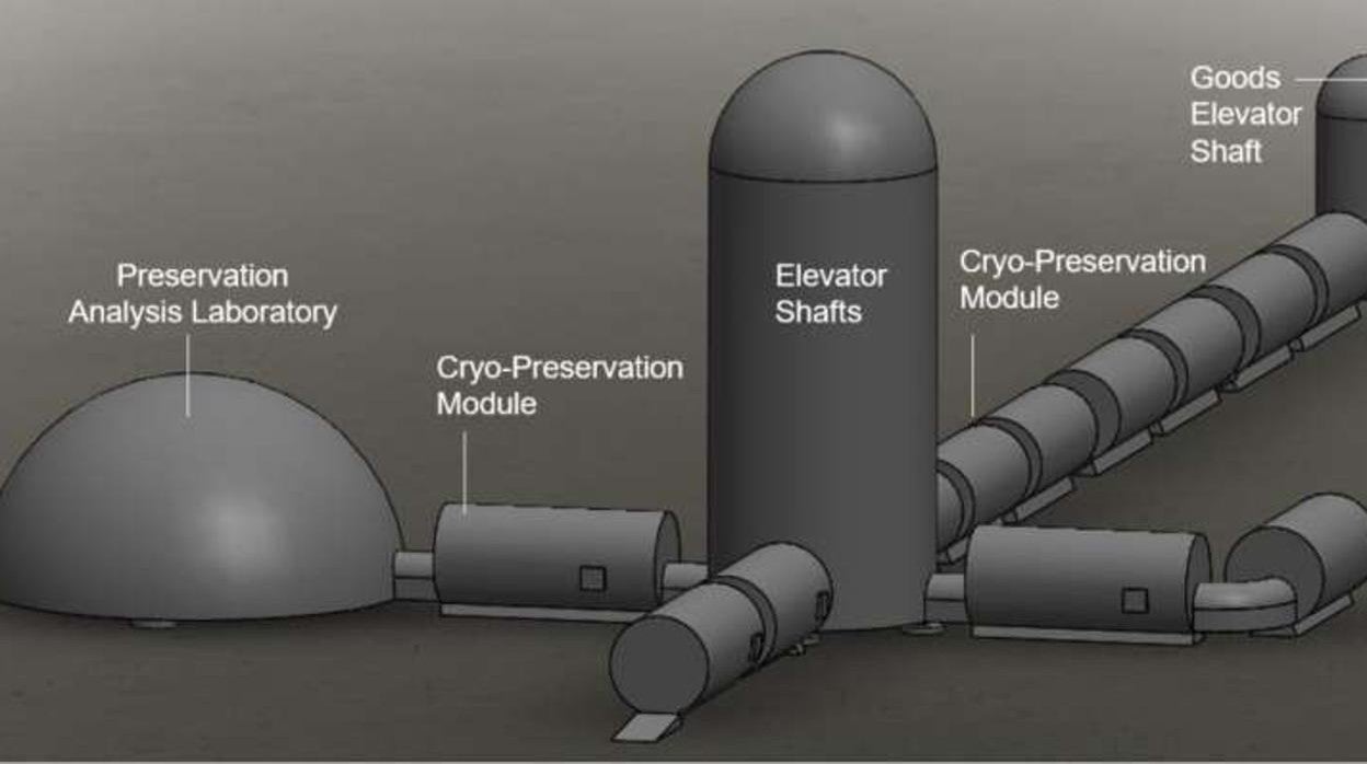 Diseño propuesto para el arca lunar