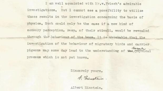 Descubren una carta perdida de Einstein en la que predijo los 'supersentidos' de algunos animales