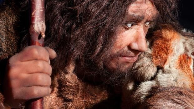 Los genes neandertales influyen en el sueño, el humor… y en cómo nos afecta el Covid
