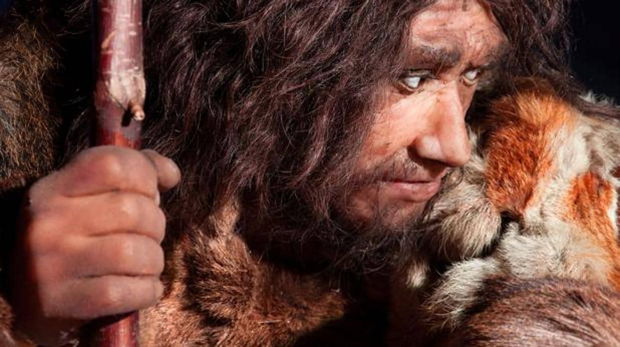 Recreación de un neandertal, en una imagen de archivo