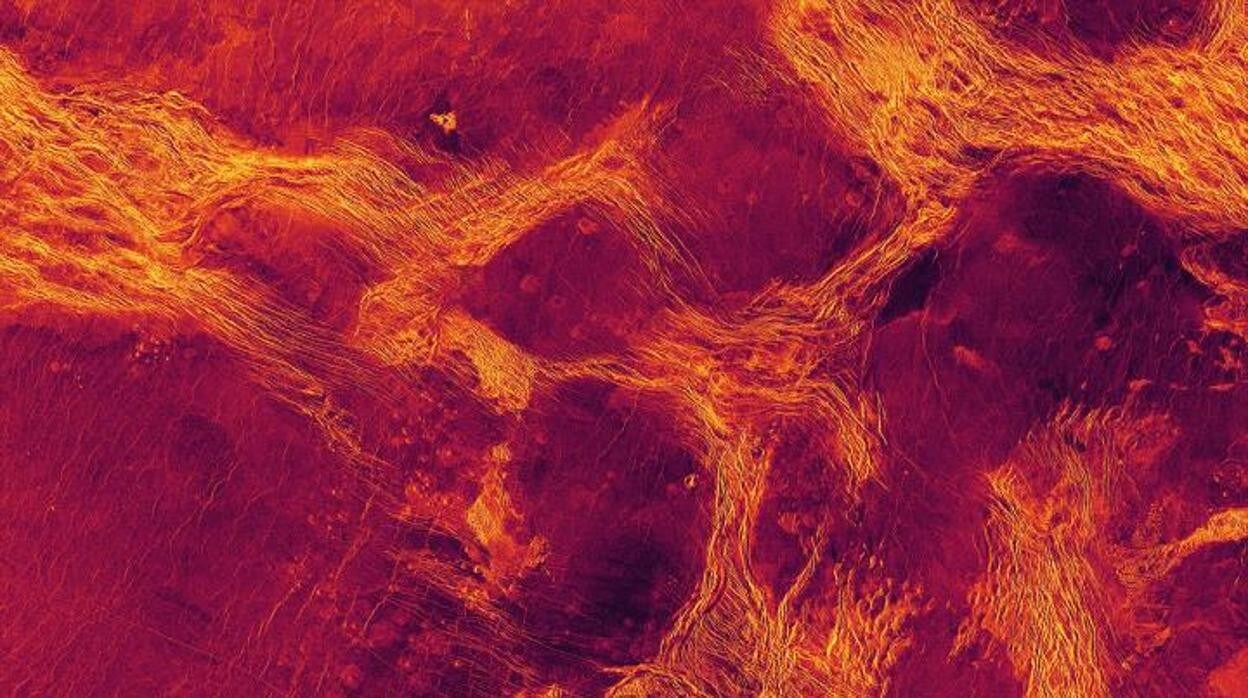 Una vista de radar de color falso de 1.100 km de ancho de Lavinia Planitia, una de las regiones de tierras bajas de Venus donde la litosfera se ha fragmentado en bloques (púrpura) delineados por cinturones de estructuras tectónicas (amarillo)