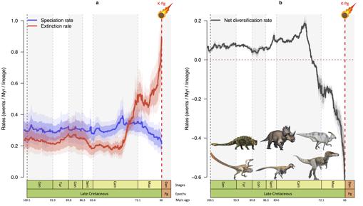 Gráficos que muestran cómo la tasa de especiación (azul) descendió y la tasa de extinción (rojo) aumentó bruscamente en los últimos 10 millones de años de la era de los dinosaurios. En conjunto, esto corresponde a una rápida reducción en el número de especies (negro) justo antes del impacto del asteroide hace 66 millones de años