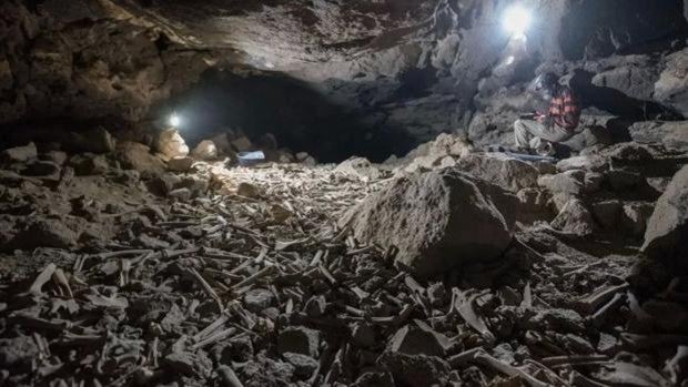 Hallan cientos de miles de huesos, incluidos humanos, en una cueva en Arabia Saudí