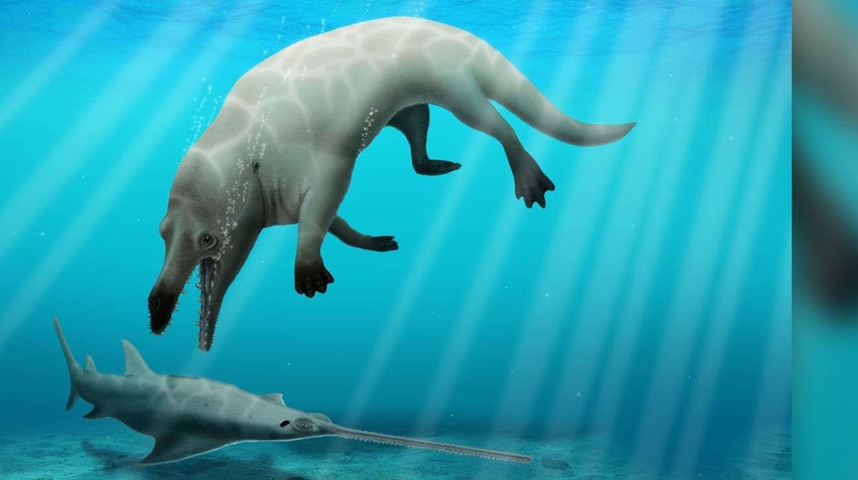 La ilustración muestra un ejemplar de Phiomicetus anubis, una ballena anfibia que era un gran depredador