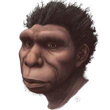 Así era el rostro del Homo Bodoensis