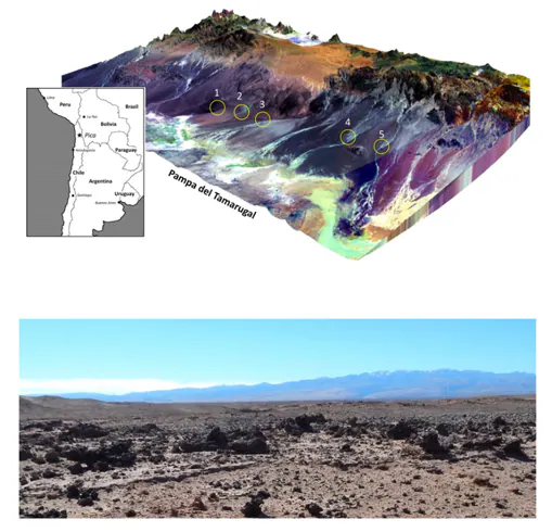 El misterio de los cristales que cubren el desierto de Atacama
