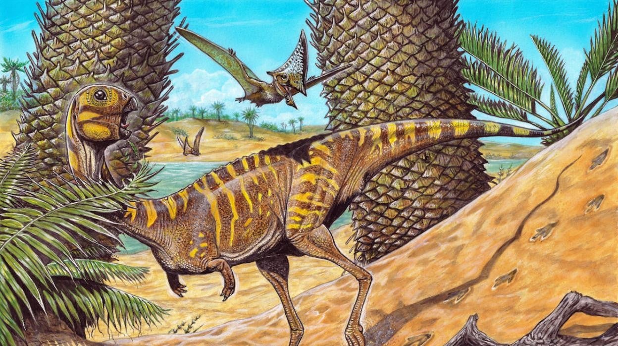 Reconstrucción de Berthasaura leopoldinae