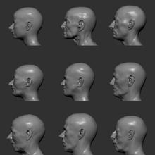 Muestra de 12 perfiles de rostros reconstruidos