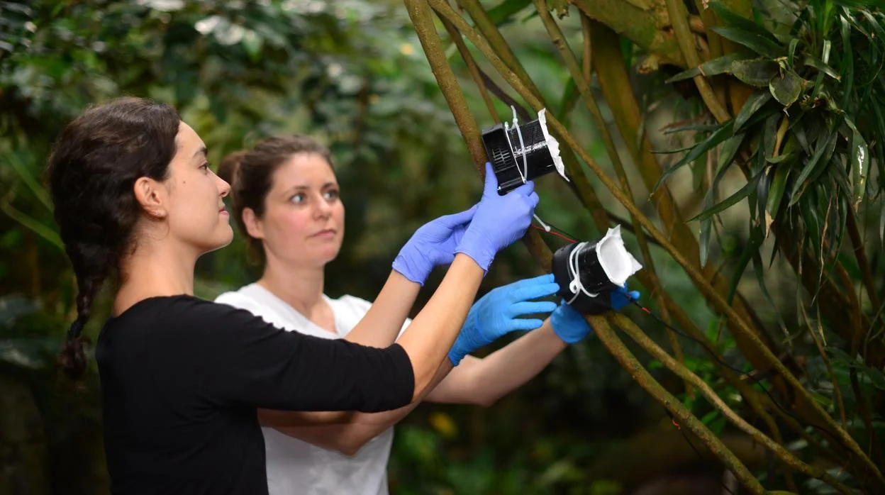 Christina Lynggaard y Kristine Bohmann recolectando muestras de aire en el zoológico de Copenhague