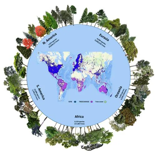 Faltan 9.200 especies de árboles por descubrir en la Tierra