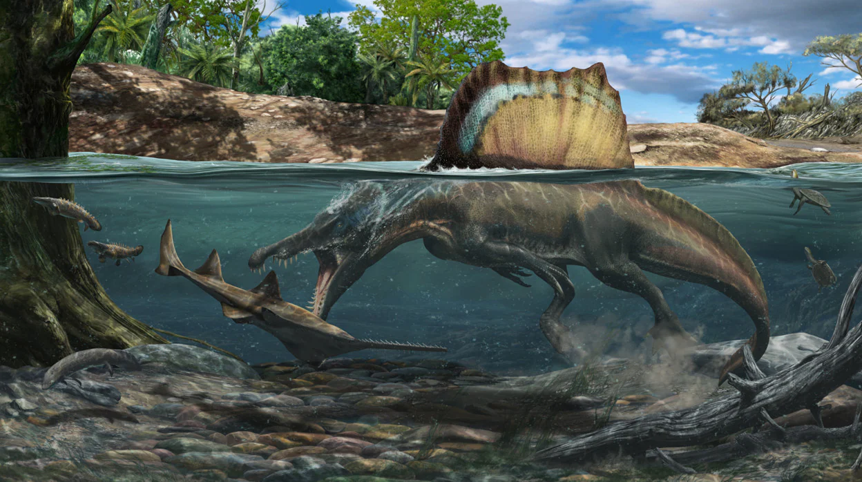 El dinosaurio carnívoro más grande era buen nadador y cazaba bajo el agua