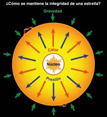 En la secuencia principal, la gravedad de la propia estrella (que tiende a comprimirla) es compensada por la presión de la radiación