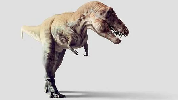 Explican por qué el T. rex tenía los brazos tan ridículamente cortos