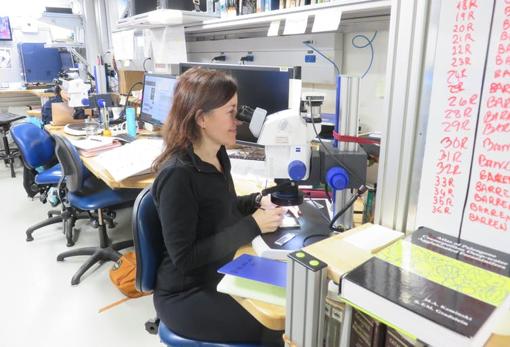 Laia Alegret observa fósiles microscópicos en el buque Joides Resolution, durante la expedición a Zelandia