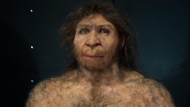 Cómo murió Miguelón, el hombre fornido de Atapuerca