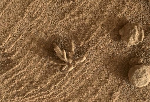 Una roca con forma de flor encontrada en Marte