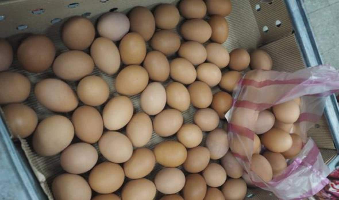 El País Vasco libera una partida de 20 toneladas de huevo líquido pastaurizado por no presentar restos de fipronil