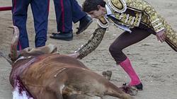 La Fiesta de los toros triunfa en una temporada de muchos ataques