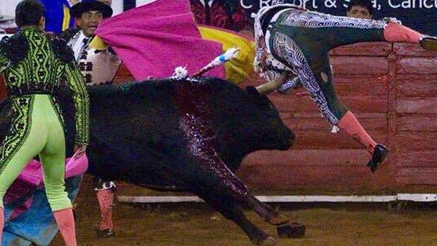 Espeluznante momento en que el pitón se hunde en el cuerpo del toro de plata