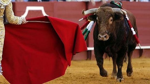 Ya hay ganaderías para 2016 en Sevilla