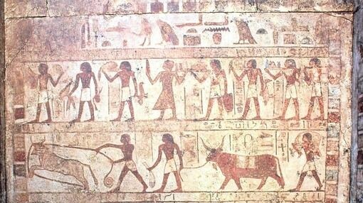 Cincuenta años de arqueología española en Egipto