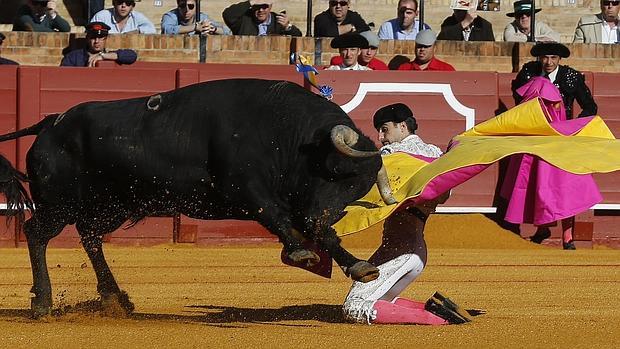 Miguel Ángel Delgado, a portagayola, en la Maestranza