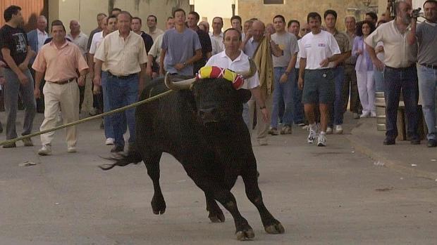 Fiestas del toro ensogaDo