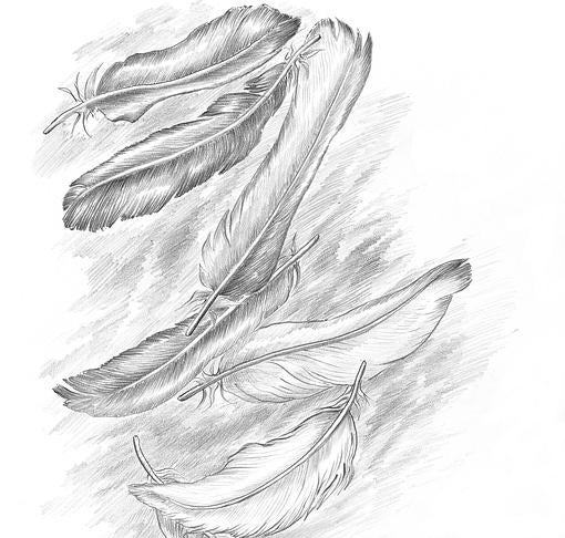 Uno de los dibujos, del propio Günter Grass, que ilustran el libro