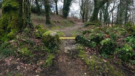 «NCS S 1050-Y  66,5 cm.» (2016)