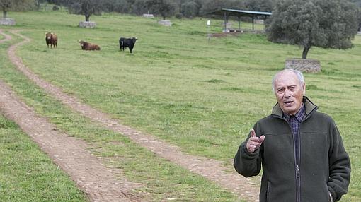 El ganadero, con sus toros de Alcurrucén al fondo del camino