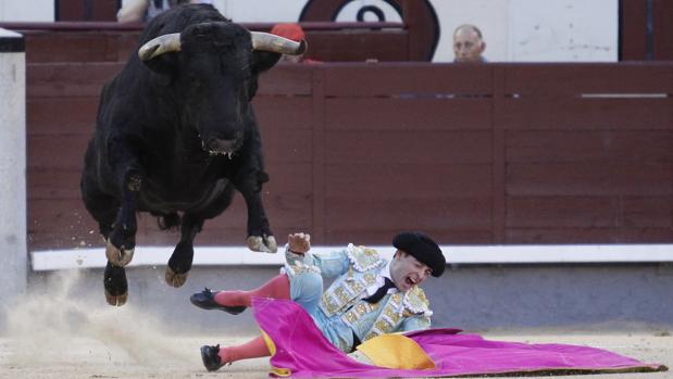 Juan Carlos Carballo, tras ser pisoteado por el último novillo, que salta por encima del torero