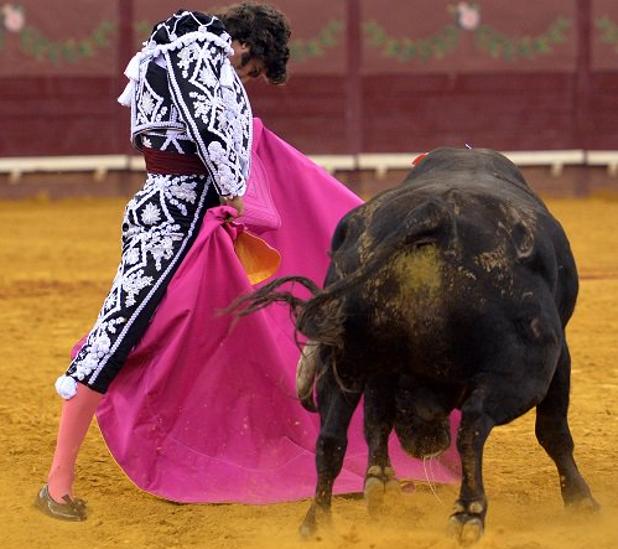 Velada triunfal de Morante de la Puebla en Lisboa