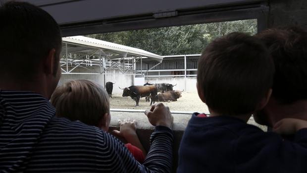 Todas las claves de la Feria de San Fermín