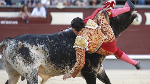 Cogida a Terrón