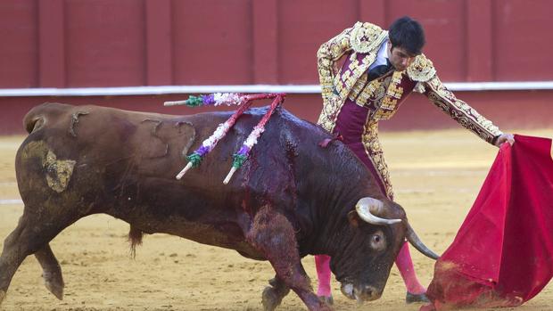 Salvador Vega, en la Malagueta