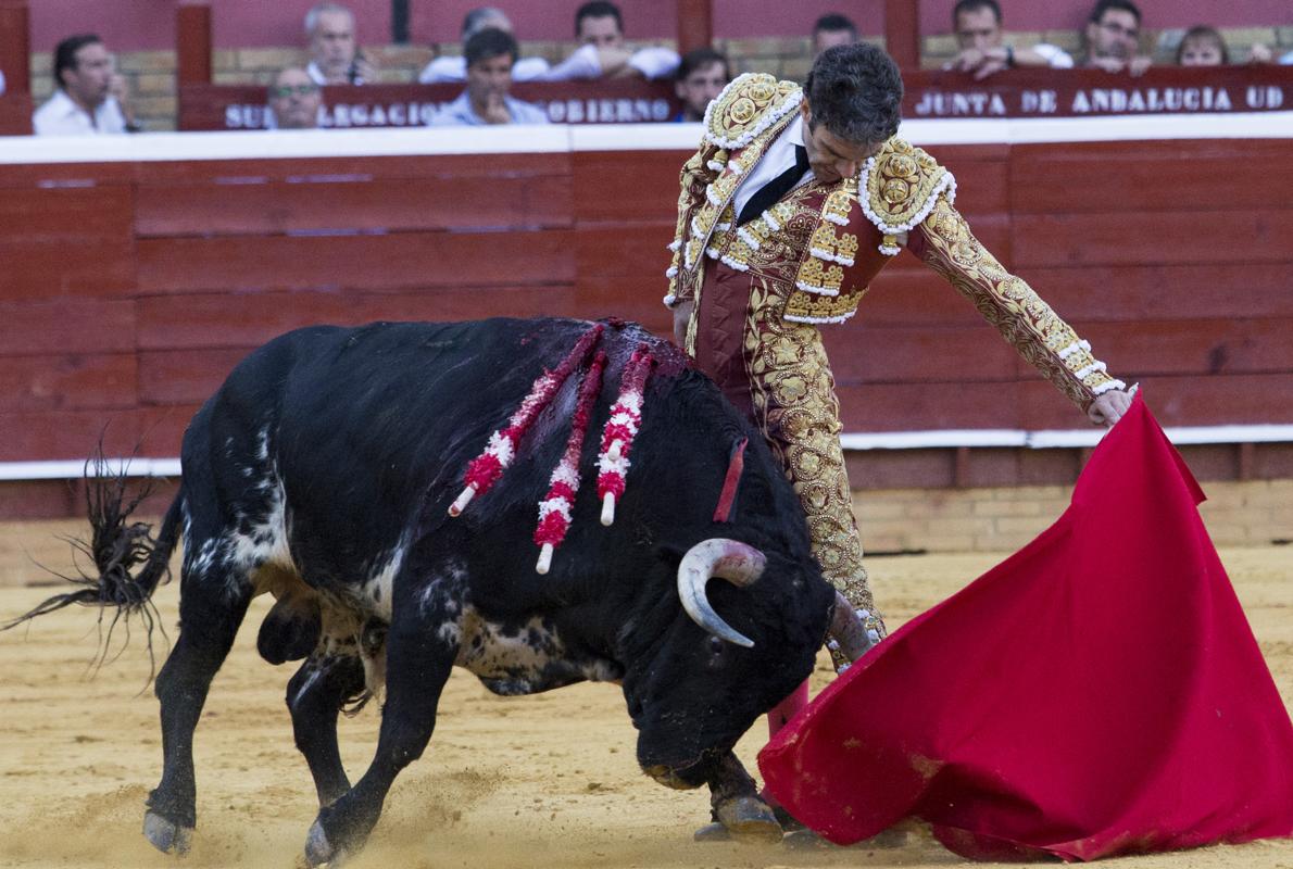 José Tomás, al natural