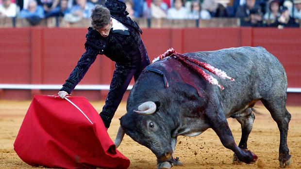 Manuel Escribano será homenajeado por la Tertulia Taurina Universitaria de Sevilla