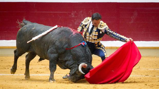 El diestro Manuel Jesús «El Cid» con su primer toro, al que cortó dos orejas