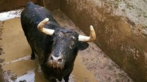 Estos son los seis toros voladores de García Jiménez