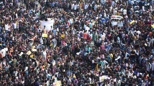 Multitudinaria manifesatación en el estado de Tamil Nadu en defensa de los espectáculos taurinos